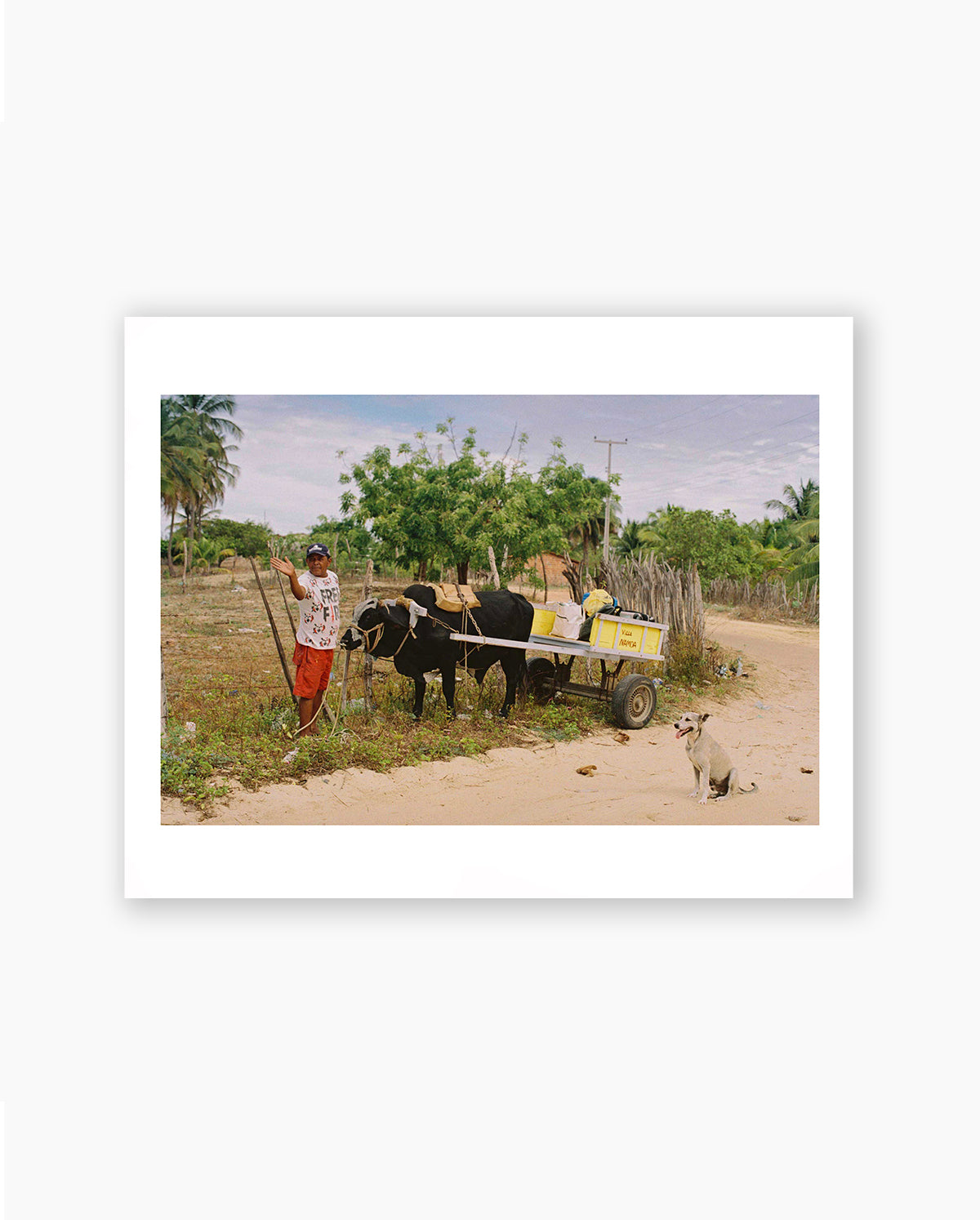 Photo Edition: Carriage Transfer. Baleia, Brazil, 2019